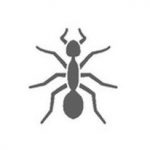 Ants Icon