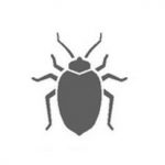 Bed Bugs Icon