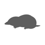 Moles Icon