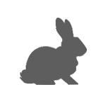 Rabbits Icon